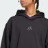 Мужская худи adidas ALL SZN FRENCH FLEECE  (АРТИКУЛ:IX1253)