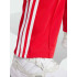 Жіночі штани adidas ADICOLOR CLASSICS FIREBIRD (АРТИКУЛ:IR8081)