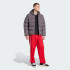 Мужской пуховик adidas TONAL HOODED (АРТИКУЛ:JX4122)