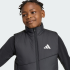 Жилет adidas TERREX KIDS MULTI CLIMAWARM INSULATED  (АРТИКУЛ:KD5941)