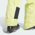 Штани adidas TERREX MULTI 2 LAYER CLIMAPROOF INSULATED PRINTED  (АРТИКУЛ:KF1201)
