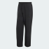 Спортивные брюки adidas CITY TECH 3 STRIPES HIGH PILE FLEECE (АРТИКУЛ:KG1570)