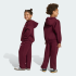 Комплект: штани і худі adidas OVERSIZED HOODIE OPEN HEM PANTS (АРТИКУЛ: KS1281)