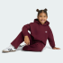 Комплект: штани і худі adidas OVERSIZED HOODIE OPEN HEM PANTS (АРТИКУЛ: KS1281)