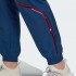 Женские брюки adidas STELLA MCCARTNEY TRUEPACE WOVEN (PLUS SIZE)  (АРТИКУЛ:HK0483)