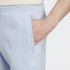 Мужские брюки adidas TREFOIL ESSENTIALS (АРТИКУЛ:IA4832)
