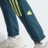 Мужские брюки adidas FUTURE ICONS 3-STRIPES (АРТИКУЛ:IJ6372)