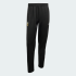 Спортивные брюки adidas ARGENTINA ORIGINALS (АРТИКУЛ:JZ6306)