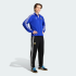 Спортивные брюки adidas ARGENTINA ORIGINALS (АРТИКУЛ:JZ6306)