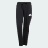 Спортивні штани adidas FUTURE ICONS THREE BAR (АРТИКУЛ:JZ9399)