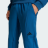 Спортивні штани adidas  D4T WORKOUT (АРТИКУЛ:KA7245)