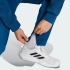 Спортивні штани adidas  D4T WORKOUT (АРТИКУЛ:KA7245)