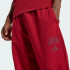 Спортивные брюки adidas COLLEGIATE (АРТИКУЛ:KC0731)