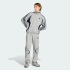 Спортивные брюки adidas TEAMGEIST ADICOLOR (АРТИКУЛ:KD5864)