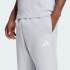 Спортивні штани adidas FUTURE ICONS SMALL LOGO (АРТИКУЛ:KD7645)