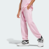 Детские брюки adidas J ALL SEASON GFX KIDS (АРТИКУЛ:JI6165)