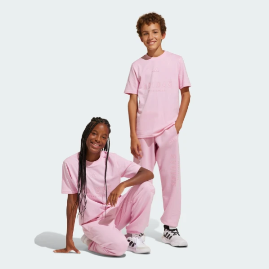 Детские брюки adidas J ALL SEASON GFX KIDS (АРТИКУЛ:JI6165)