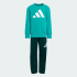 Спортивный костюм adidas ESSENTIALS KIDS (АРТИКУЛ:JW2436)