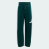 Спортивный костюм adidas ESSENTIALS KIDS (АРТИКУЛ:JW2436)