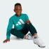 Спортивный костюм adidas ESSENTIALS KIDS (АРТИКУЛ:JW2436)
