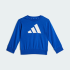 Спортивный костюм adidas ESSENTIALS KIDS (АРТИКУЛ:JW2461)