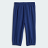 Спортивный костюм adidas ESSENTIALS KIDS (АРТИКУЛ:JW2461)