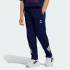 Детские брюки adidas MARVEL SPIDER-MAN (АРТИКУЛ:JZ3570)