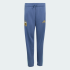 Детские брюки adidas ARGENTINA DNA KIDS (АРТИКУЛ:JZ6303)