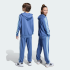 Детские брюки adidas ARGENTINA DNA KIDS (АРТИКУЛ:JZ6303)