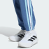Детские брюки adidas ARGENTINA DNA KIDS (АРТИКУЛ:JZ6303)