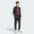 Мужской спортивный костюм adidas SPORTSWEAR BASIC 3-STRIPES FRENCH TERRY (АРТИКУЛ:JC5375)