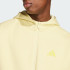 Мужская худи adidas FUTURE ICONS 3-STRIPES (АРТИКУЛ:JD4831)