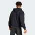 Мужская худи adidas CITY ESCAPE FLEECE  (АРТИКУЛ:JF3279)