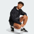 Мужская худи adidas CITY ESCAPE FLEECE  (АРТИКУЛ:JF3279)