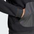Мужская худи adidas CITY ESCAPE FLEECE  (АРТИКУЛ:JF3279)