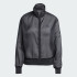 Женская олимпийка adidas ADICOLOR SHEER  (АРТИКУЛ:JN6130)