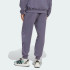 Мужские брюки adidas NEW Z.N.E.  (АРТИКУЛ:JW4727)