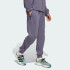 Мужские брюки adidas NEW Z.N.E.  (АРТИКУЛ:JW4727)