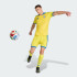 Домашні шорти adidas UKRAINE 26  (АРТИКУЛ:JZ4625)