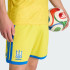 Домашні шорти adidas UKRAINE 26  (АРТИКУЛ:JZ4625)
