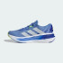 Мужские кроссовки adidas ADISTAR 4 RUNNING  (АРТИКУЛ:JR0315)