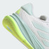 Кроссовки adidas SUPERNOVA EASE  (АРТИКУЛ:JQ2506)