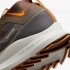 Чоловічі кросівки NIKE REACT PEGASUS TRAIL 4 GTX  (АРТИКУЛ:FD5841-001)
