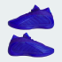 Мужские кроссовки adidas ANTHONY EDWARDS 2 (АРТИКУЛ:JQ9501)