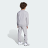 Спортивный костюм adidas ESSENTIALS KIDS (АРТИКУЛ:JM0883)