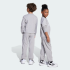 Спортивный костюм adidas ESSENTIALS KIDS (АРТИКУЛ:JM0883)