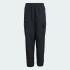 Детские брюки adidas TERREX KIDS XPLORIC CLIMA365 CARGO KIDS (АРТИКУЛ:KA9774)