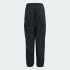 Детские брюки adidas TERREX KIDS XPLORIC CLIMA365 CARGO KIDS (АРТИКУЛ:KA9774)