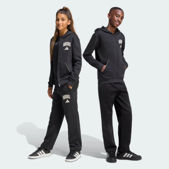 Детские брюки adidas SEASONALS COLLEGIATE TYPOGRAPHY (АРТИКУЛ:KC4573)