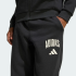 Детские брюки adidas SEASONALS COLLEGIATE TYPOGRAPHY (АРТИКУЛ:KC4573)